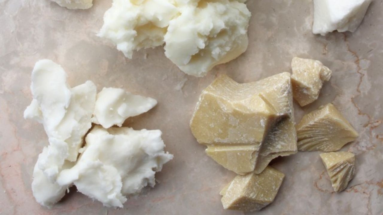 Difference Between Cocoa Butter And Shea Butter