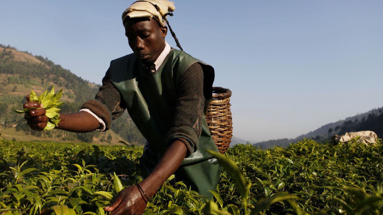 Africa’s Smallholder Farmers Need Support To Build Resiliency And Sustainability