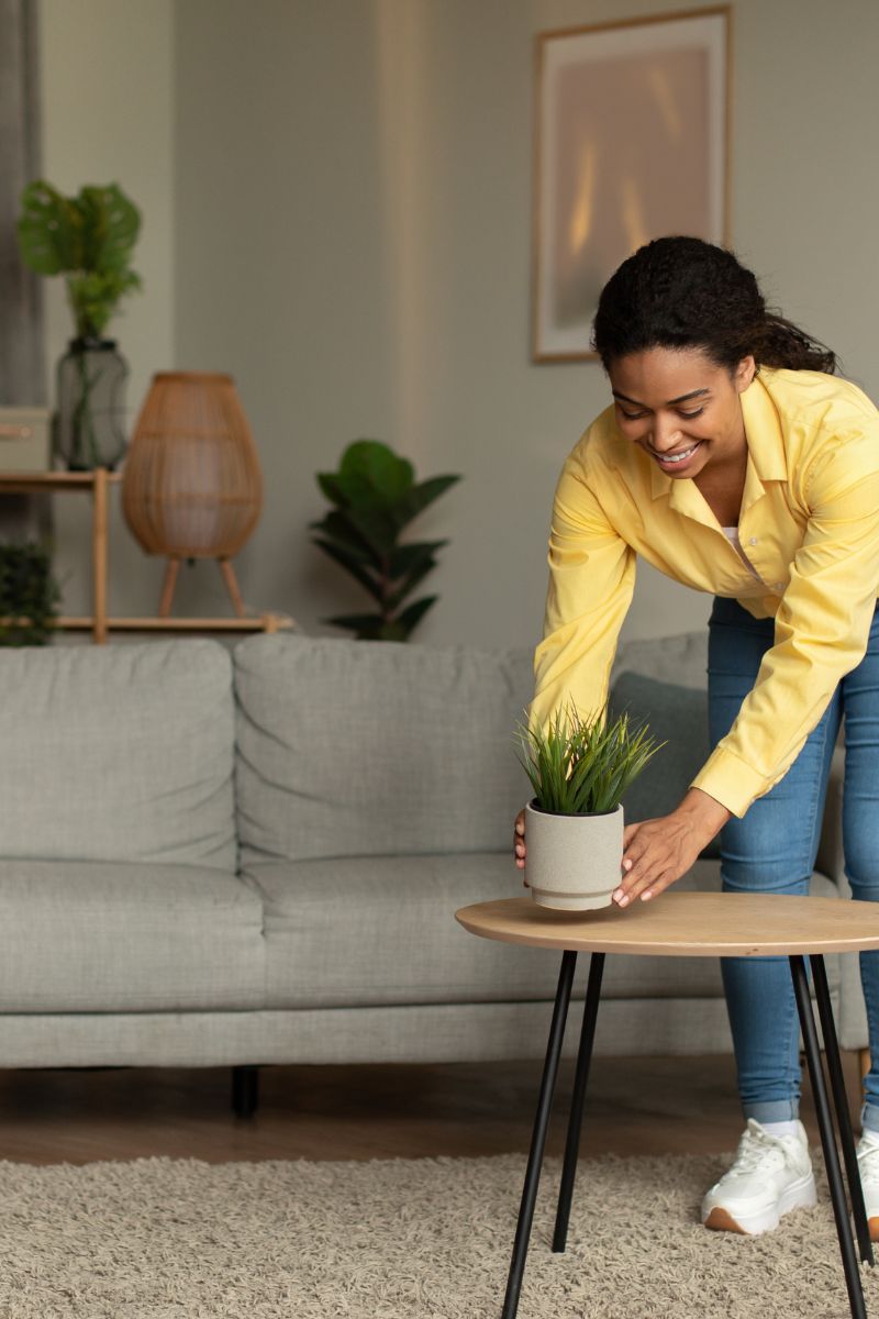 benefits of indoor plants
