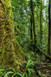 biodiversity