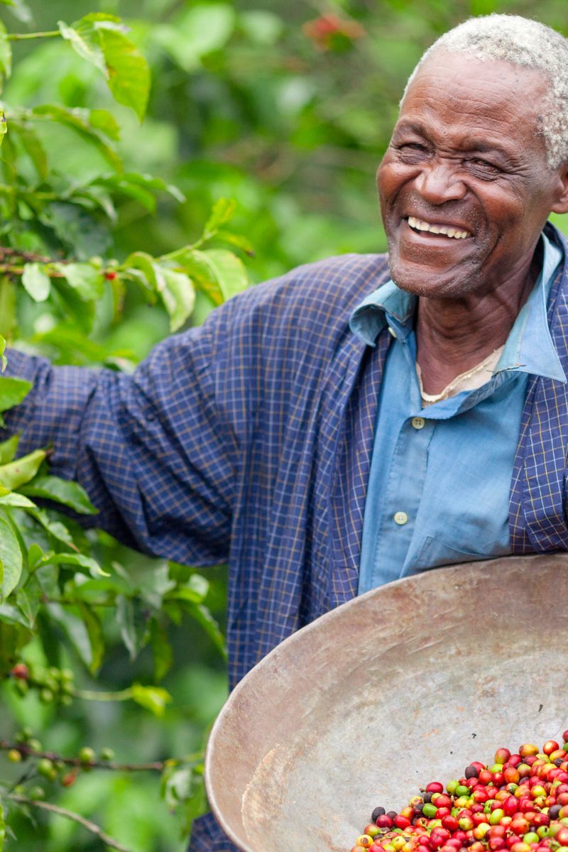 enyi Supports sustainable business practices