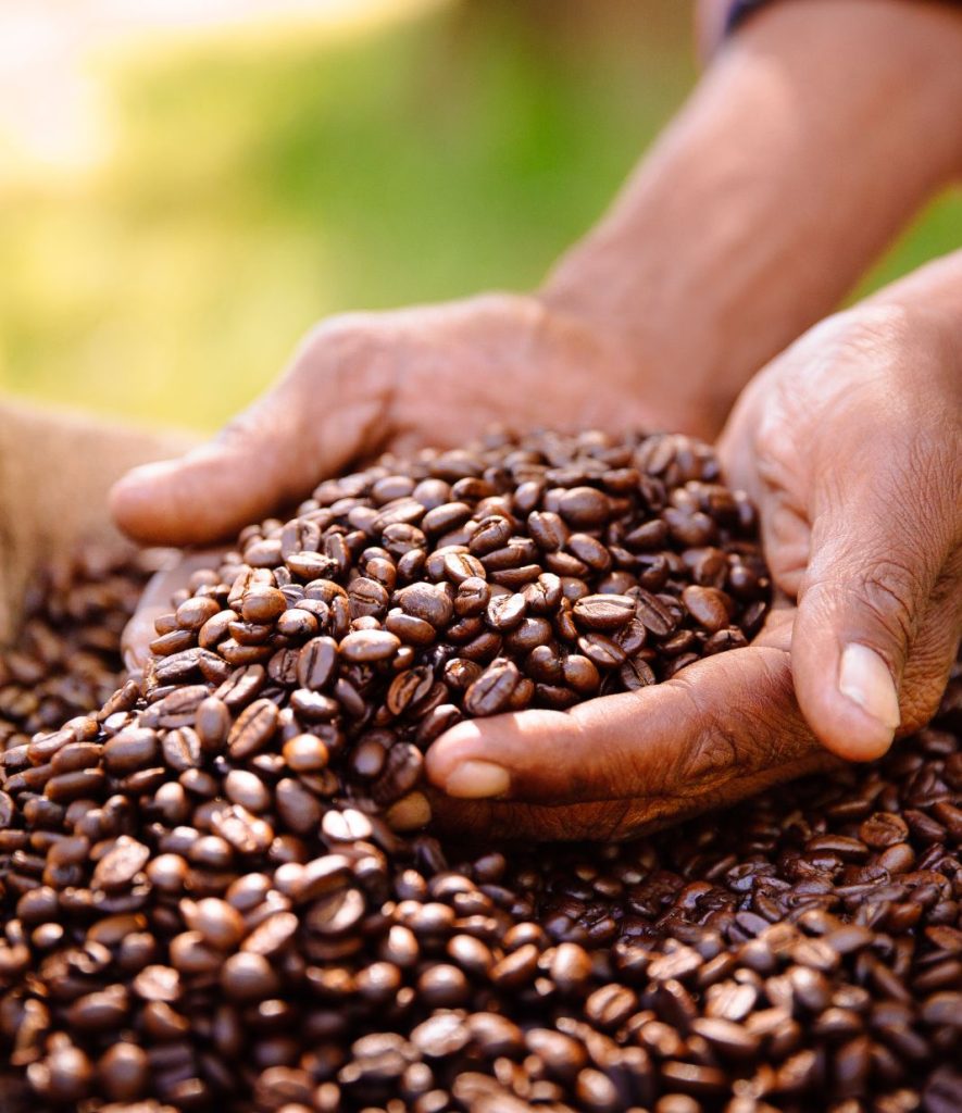 ethical sourcing