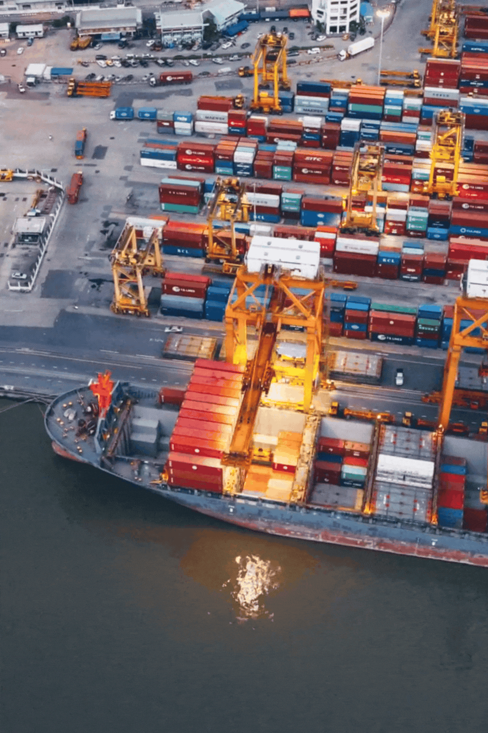 global supply chains