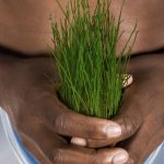 how to live sustainably
