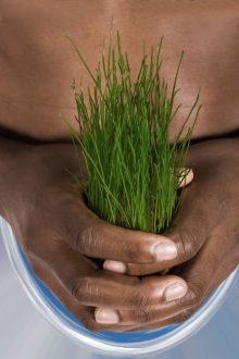 how to live sustainably