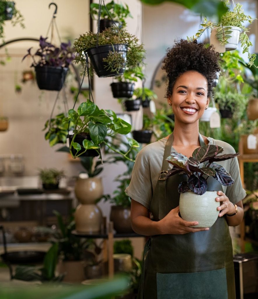 indoor plants for living room