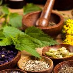 medicinal plants