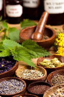 medicinal plants