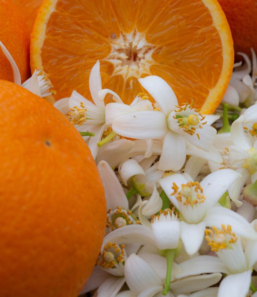 orange blossom