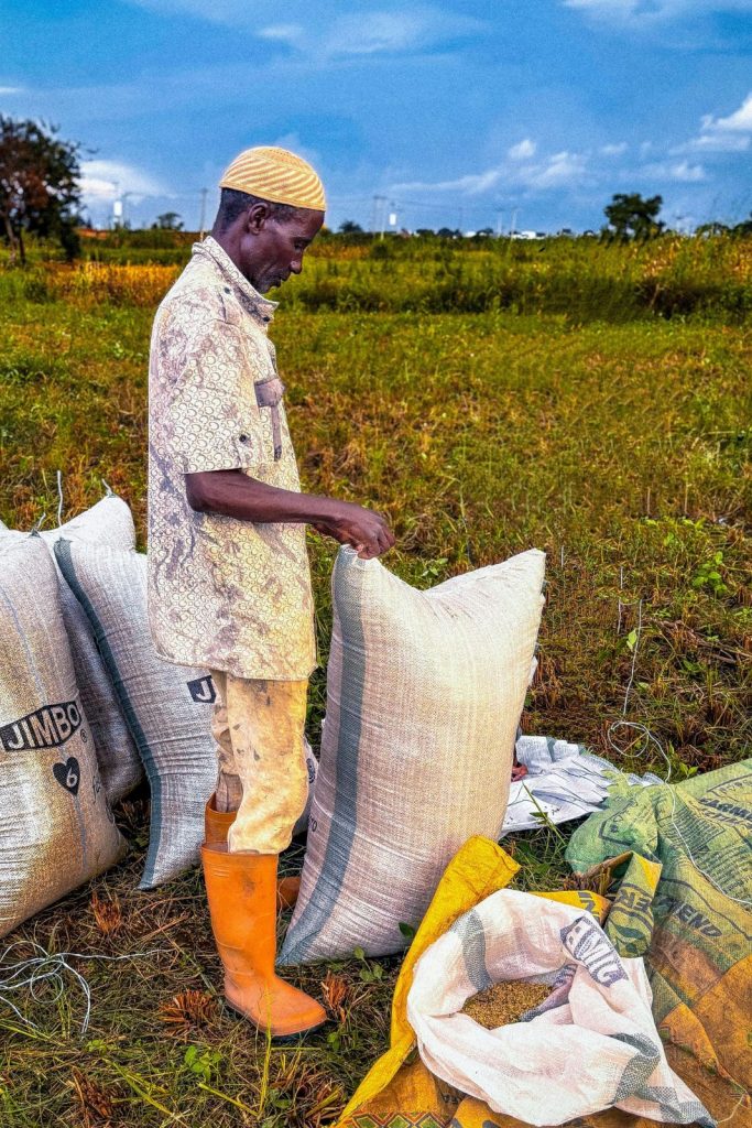 small businesses in africa