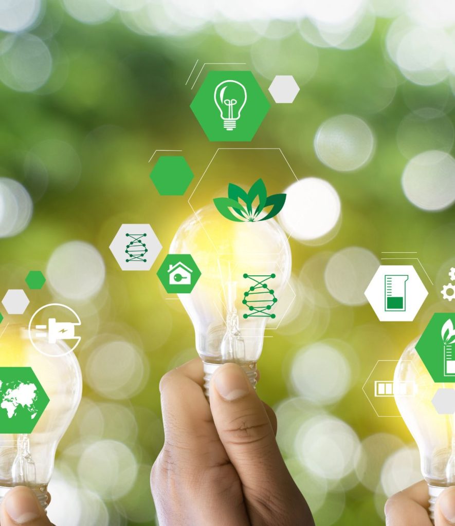 sustainable living lifestyle