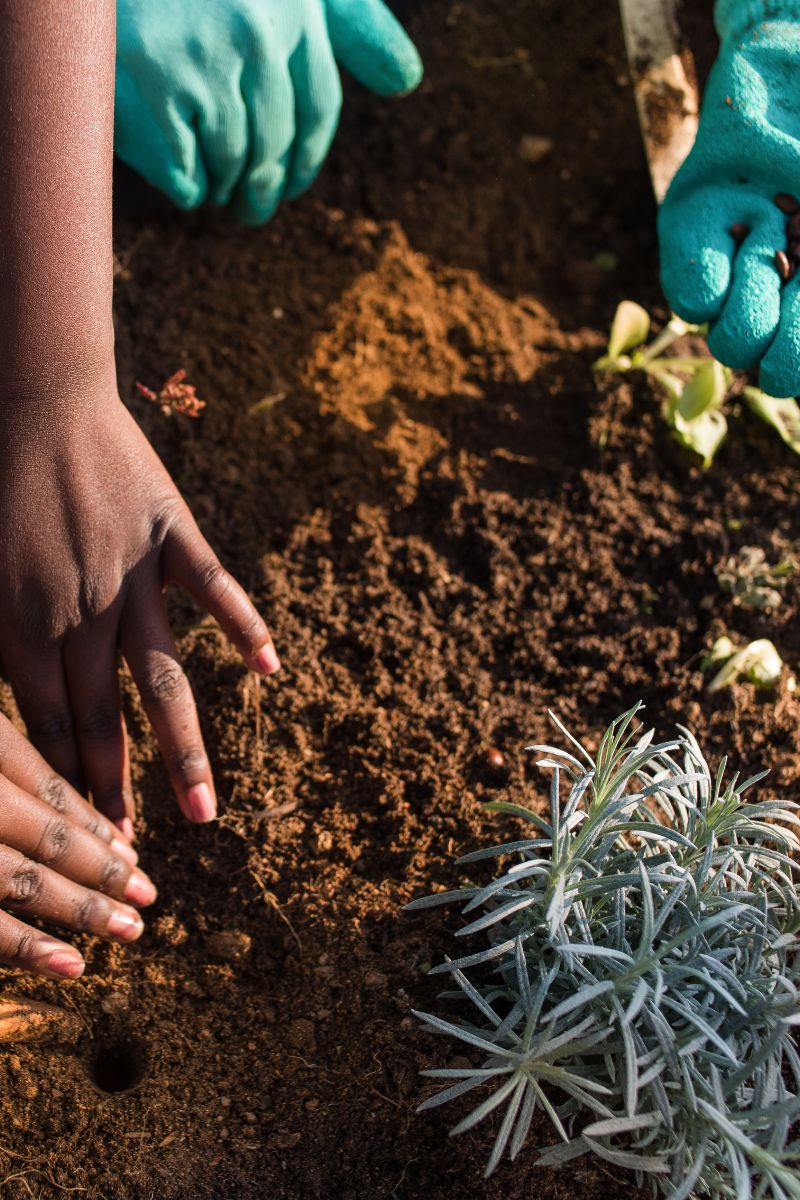 zero waste beauty