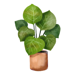 power of plants