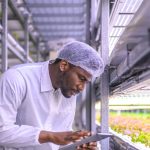 Pollution and sustainability