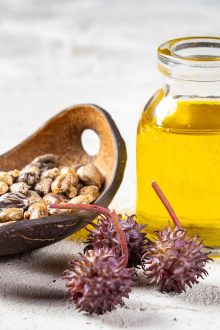 vegan skincare brands