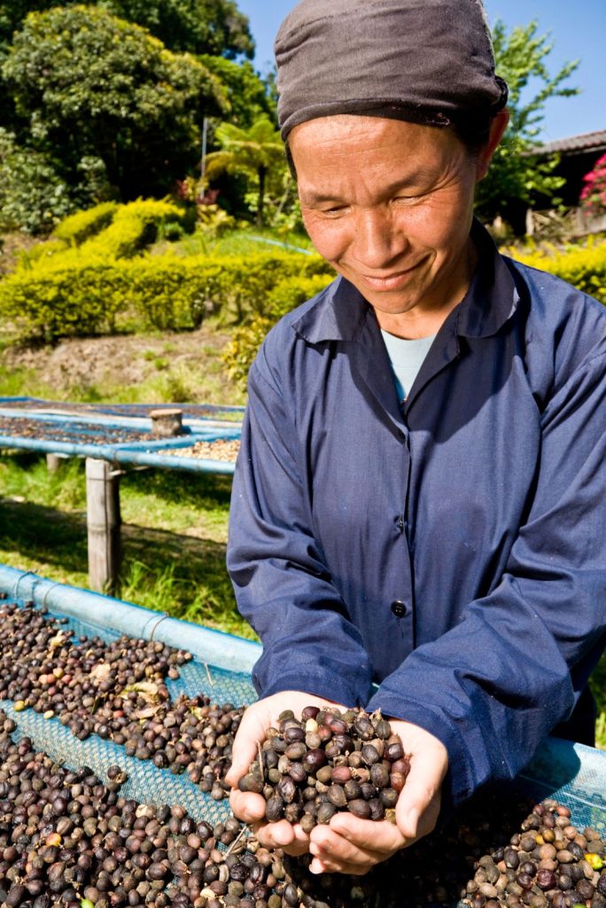 fair trade beauty