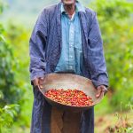 fair trade ingredient