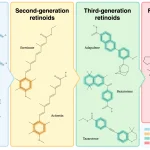 The Discovery Of Tretinoin