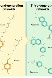 The Discovery Of Tretinoin